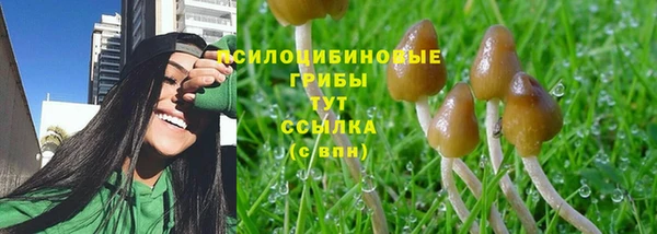 прущие крисы Арсеньев