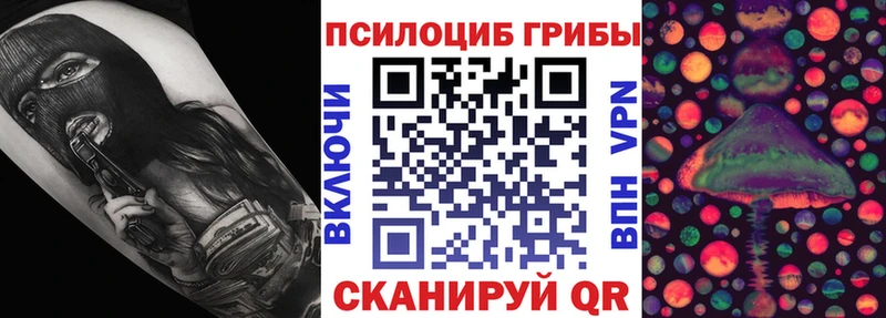 Псилоцибиновые грибы Psilocybe  Бологое 