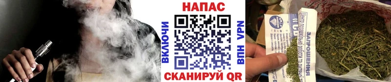 Канабис гибрид  Бологое 